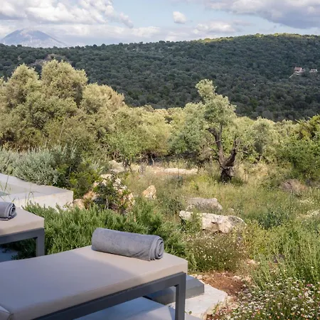 Mesogi Villas, Brand New Modern, Stylish Villas, Private Pool, Seaviews 别墅 Spartokhórion